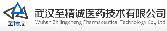 武漢至精誠(chéng)醫(yī)藥技術(shù)有限公司
